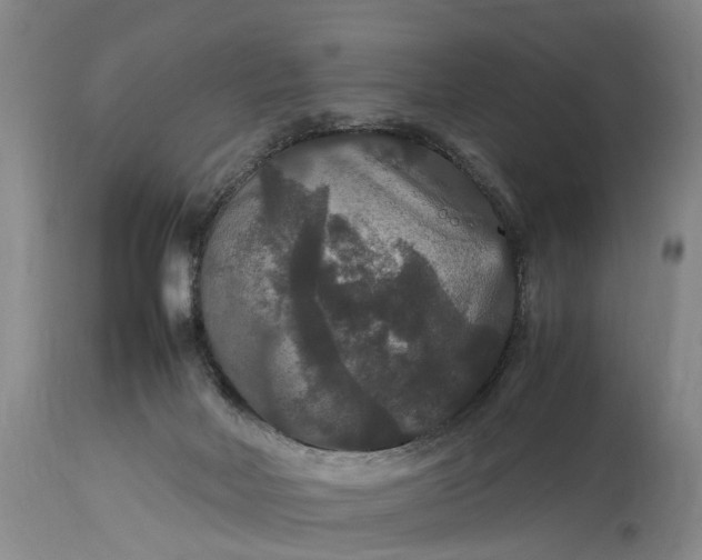 X0000115340026200911161843