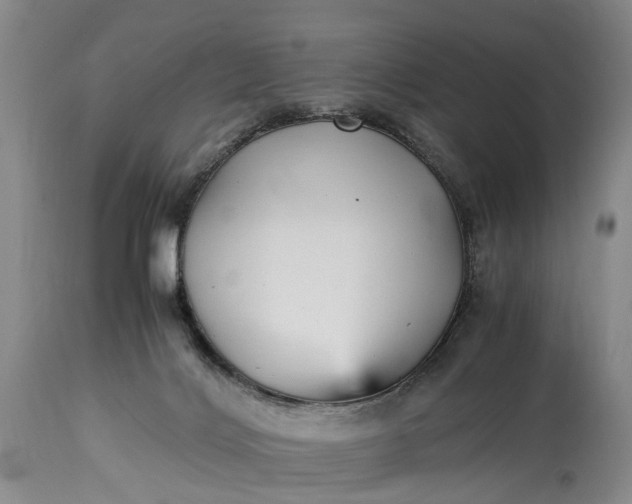 X0000115340028200911161843