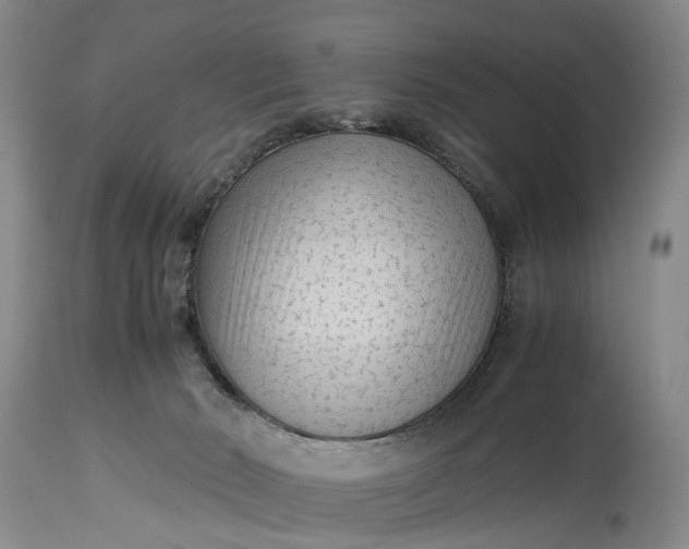 X0000115340030200911161843