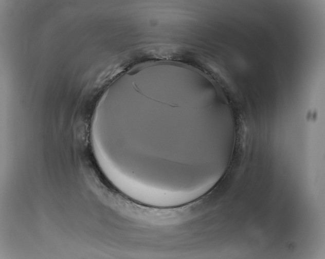 X0000115340031200911161843
