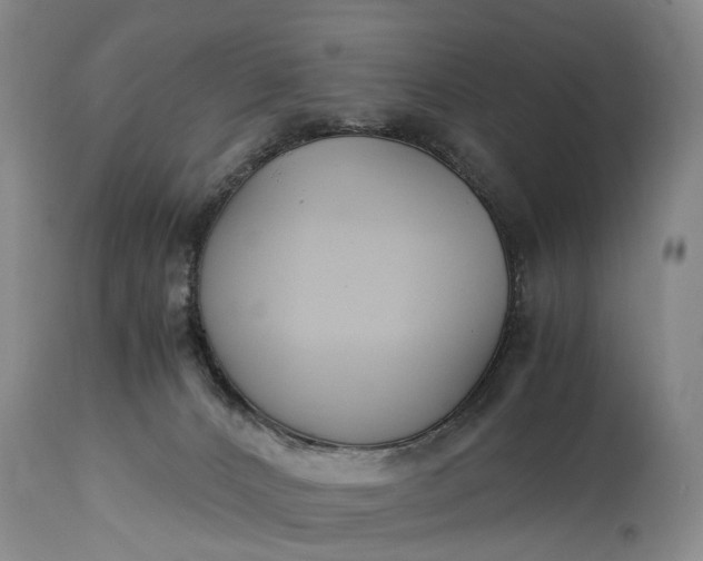 X0000115340032200911161843
