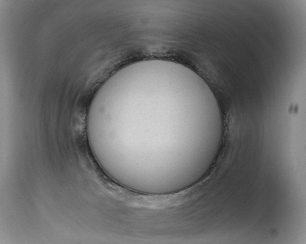 X0000115340033200911161843
