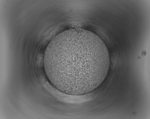 X0000115340034200911161843