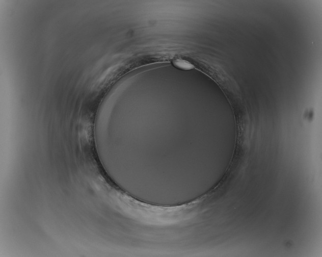 X0000115340035200911161843