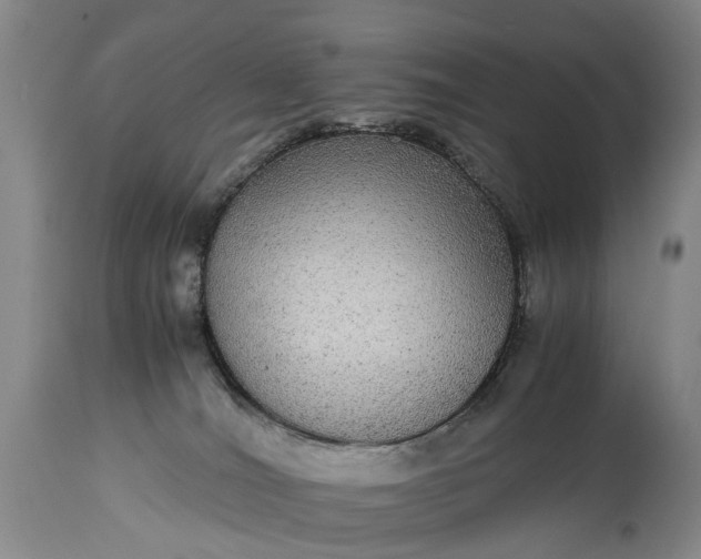 X0000115340036200911161843