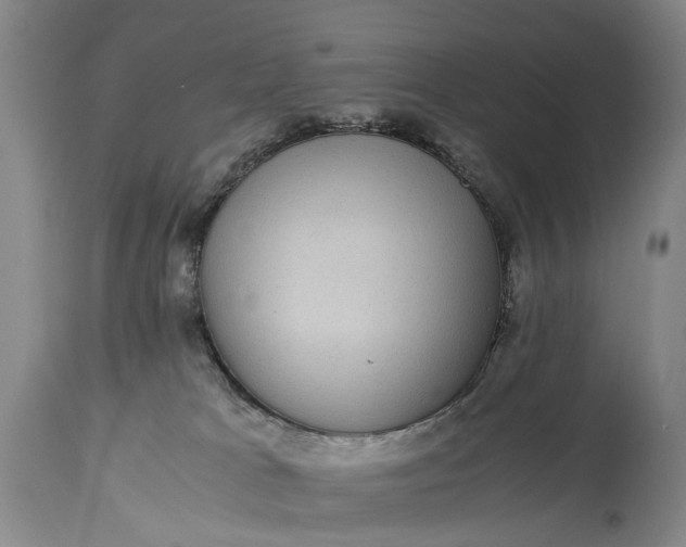 X0000115340037200911161843