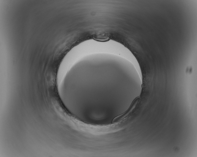 X0000115340039200911161842
