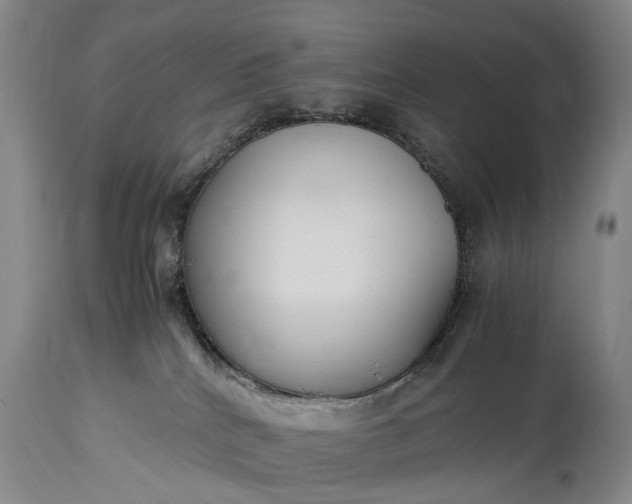 X0000115340040200911161842