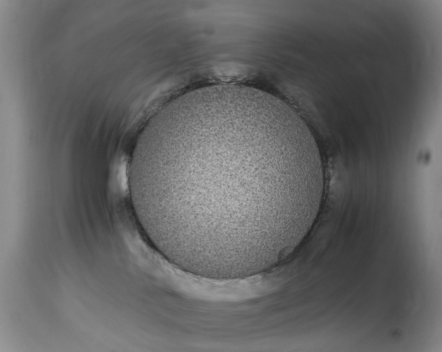 X0000115340042200911161842