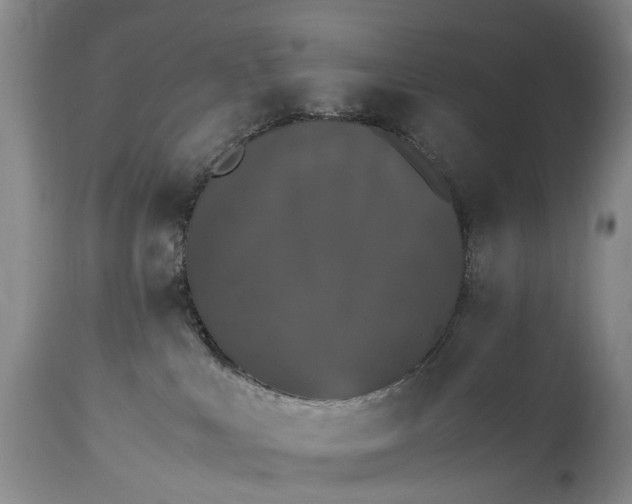 X0000115340043200911161842