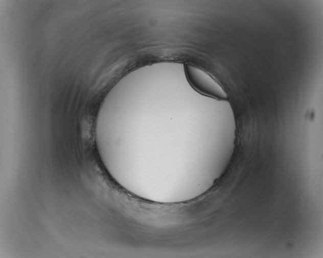 X0000115340044200911161842