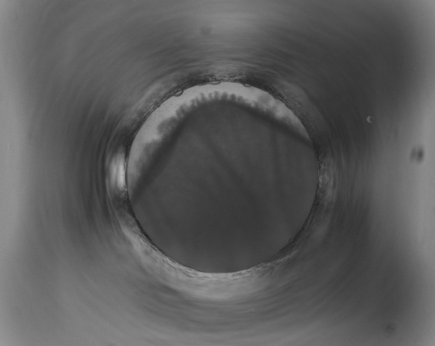 X0000115340046200911161842