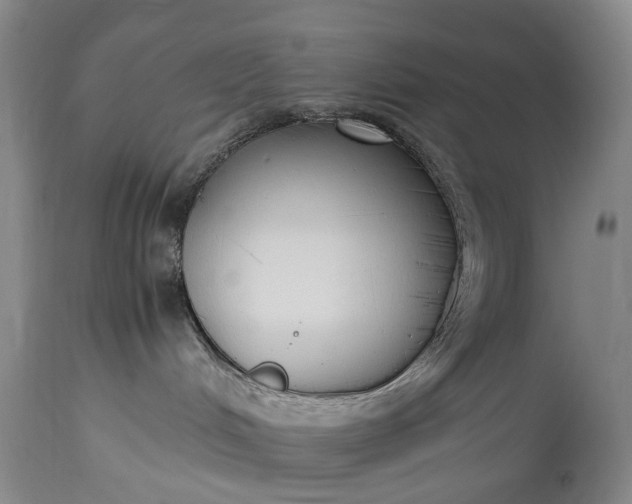 X0000115340048200911161842