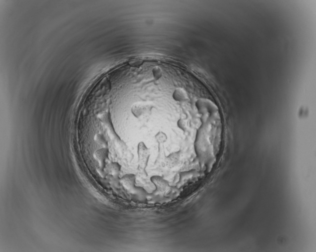 X0000115340049200911161842