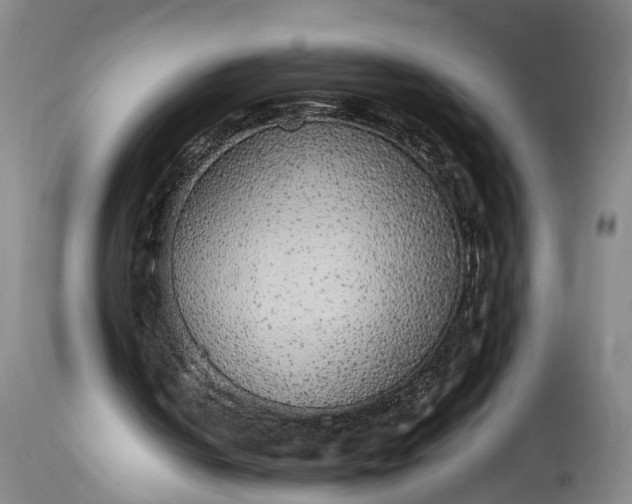 X0000115340050200911161842