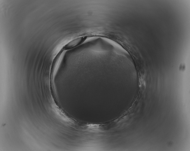 X0000115340052200911161842