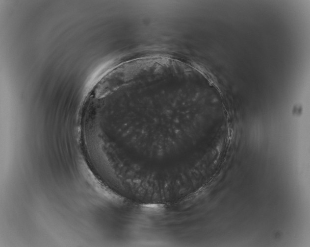 X0000115340053200911161842