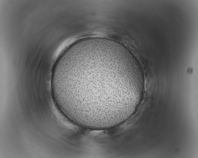 X0000115340054200911161842