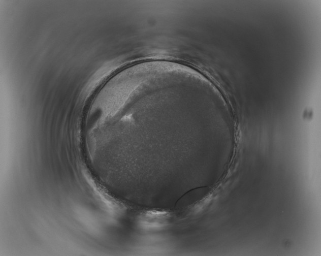 X0000115340055200911161842
