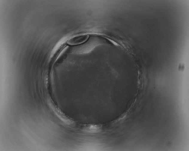 X0000115340056200911161842