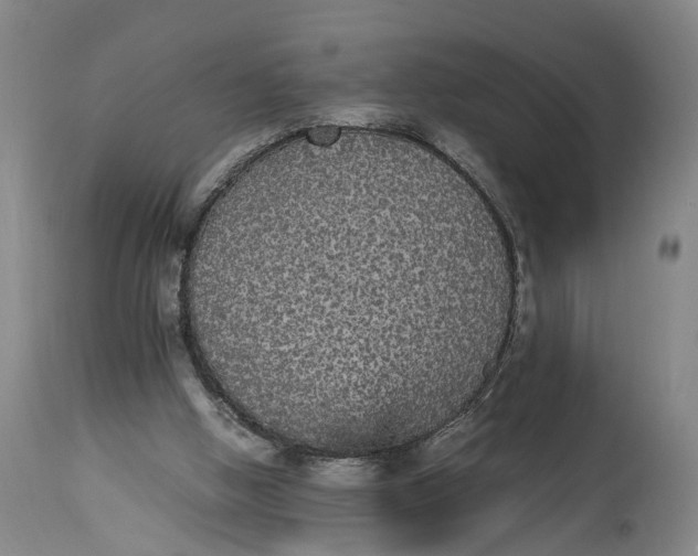 X0000115340058200911161842