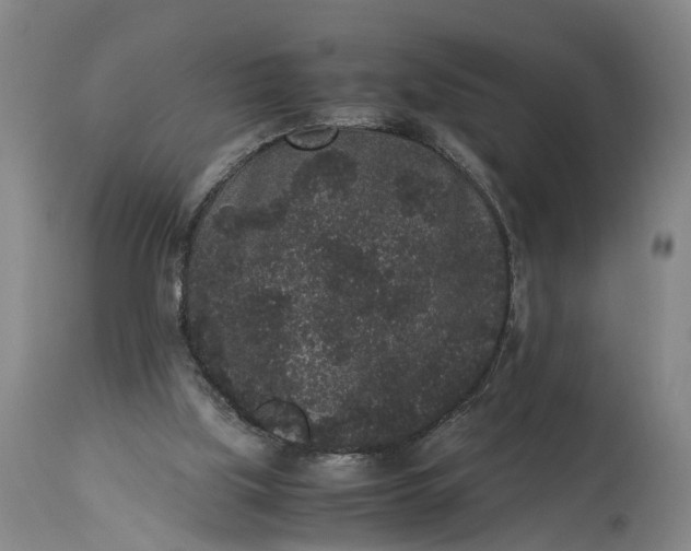 X0000115340059200911161842