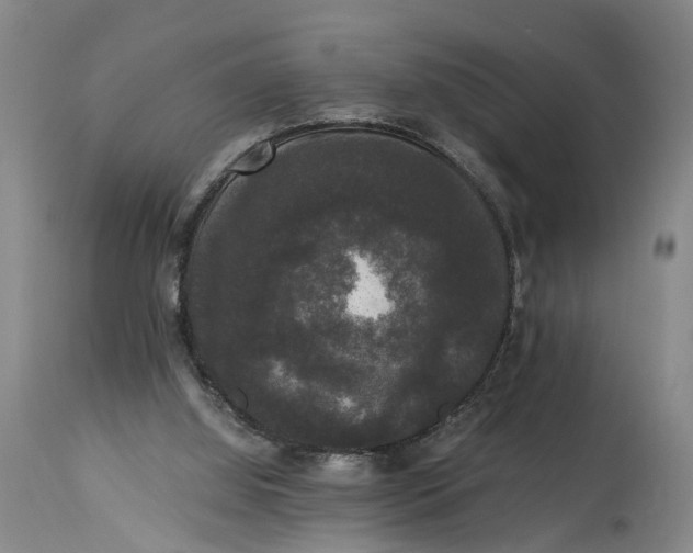X0000115340060200911161842