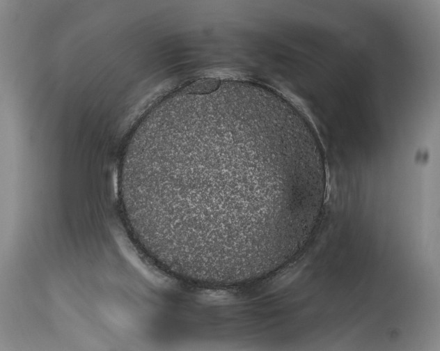 X0000115340061200911161842