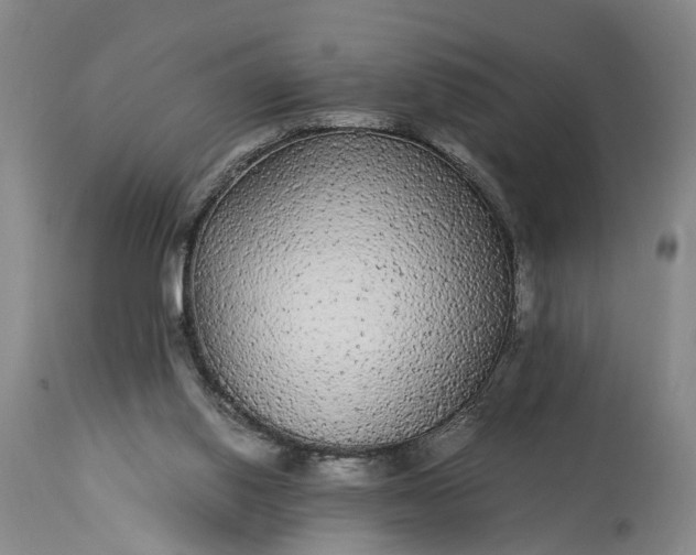 X0000115340062200911161842