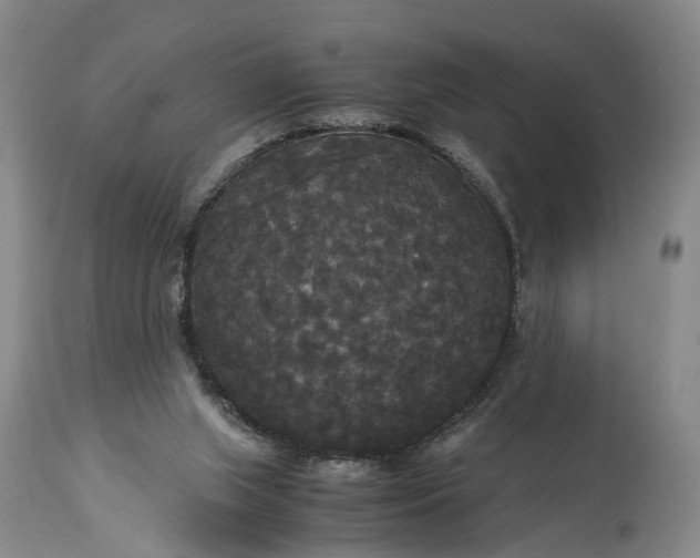 X0000115340063200911161842