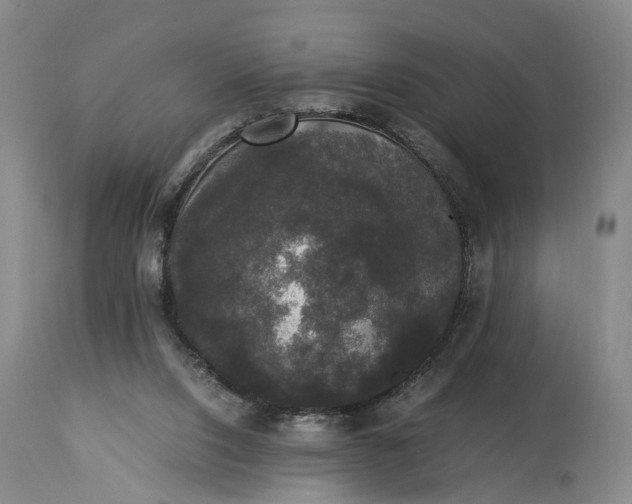 X0000115340064200911161842