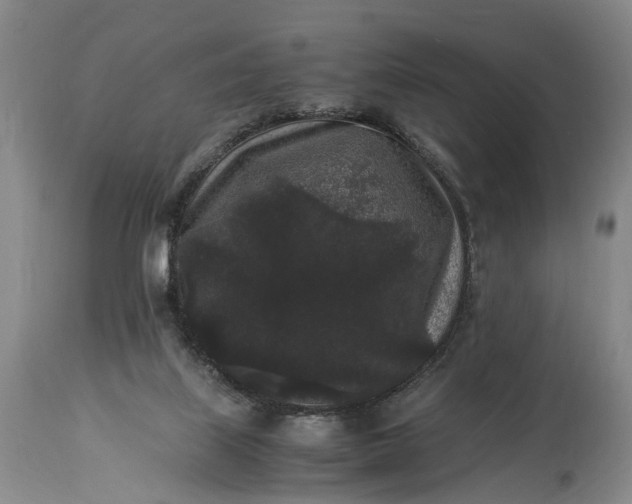 X0000115340067200911161842