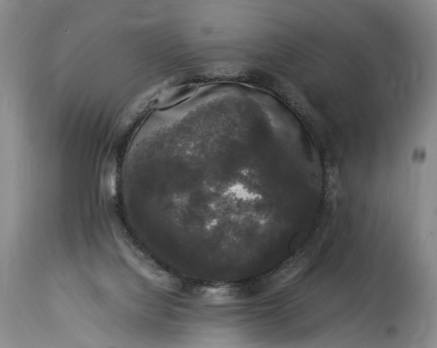 X0000115340068200911161842