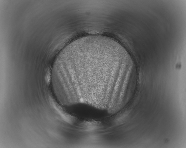 X0000115340069200911161842