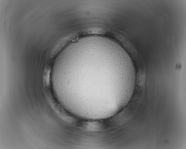 X0000115340070200911161842