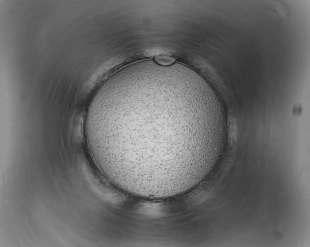 X0000115340071200911161842