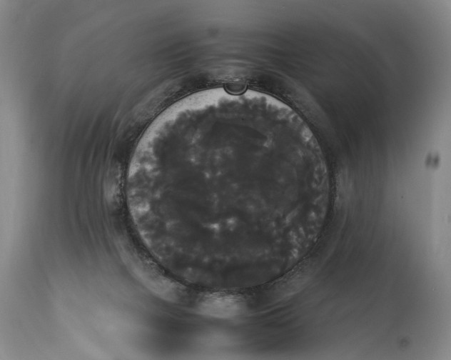 X0000115340073200911161842