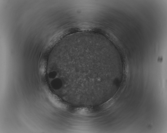 X0000115340074200911161842