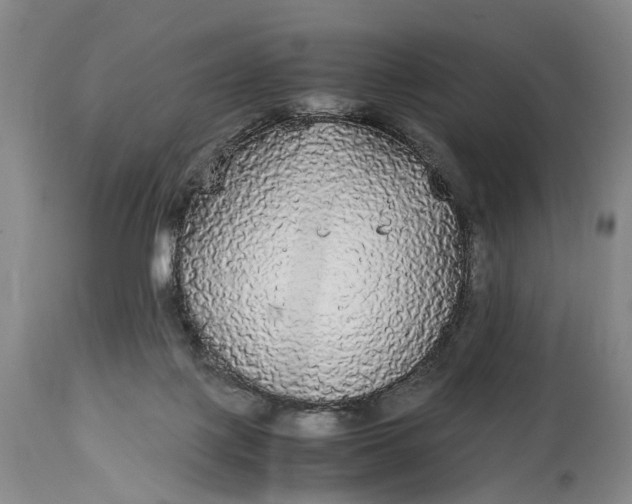 X0000115340075200911161842