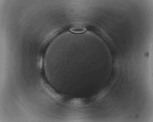 X0000115340076200911161842