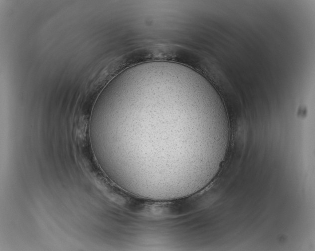 X0000115340078200911161842