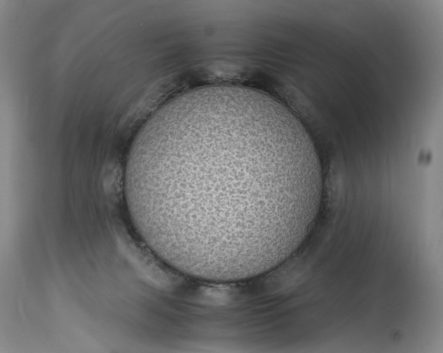 X0000115340079200911161842