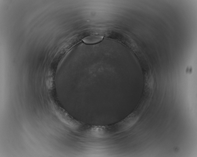 X0000115340080200911161842