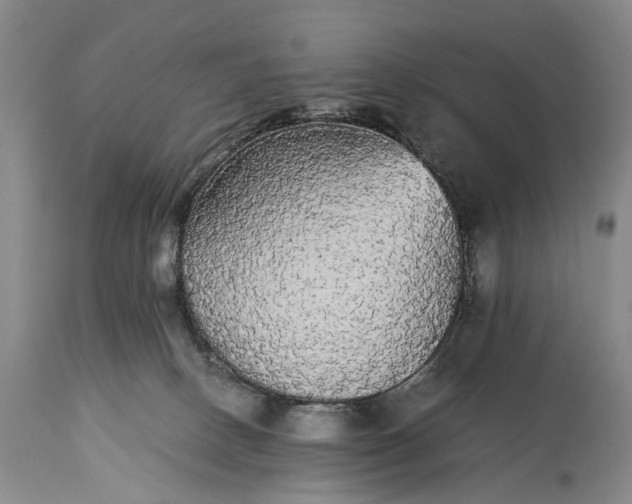 X0000115340082200911161842
