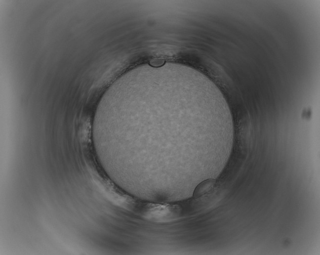 X0000115340083200911161842