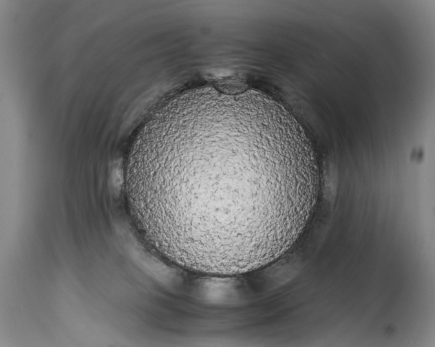 X0000115340085200911161842