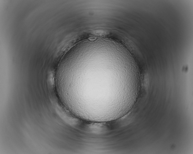 X0000115340086200911161842