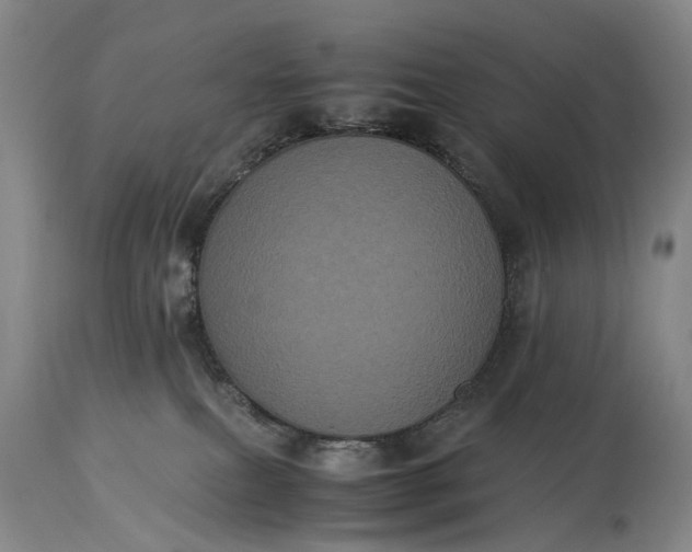 X0000115340087200911161842