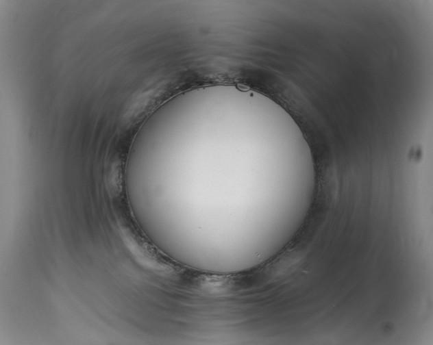 X0000115340088200911161842