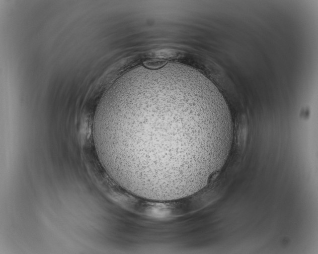 X0000115340091200911161842